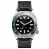 Cheapest 😀 Fawler Alon | Gray Stainless Steel GMT Dive ⌚ Watch 🧨